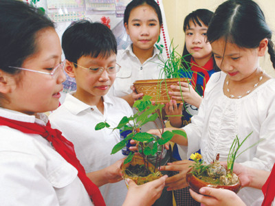 Tuyển sinh lớp 1 và 6: Trường tư đắt hàng