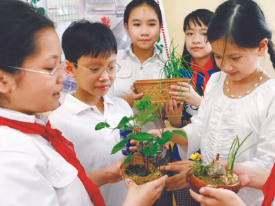 Tuyển sinh lớp 1 và 6: Trường tư đắt hàng
