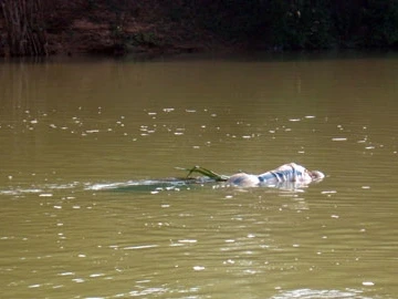 Xác chết được phát hiện hôm 28/12. Ảnh: Trí Thức (VietNamNet)