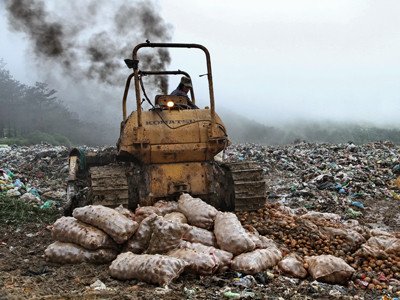 Xây dựng thương hiệu riêng để cứu khoai tây Đà Lạt