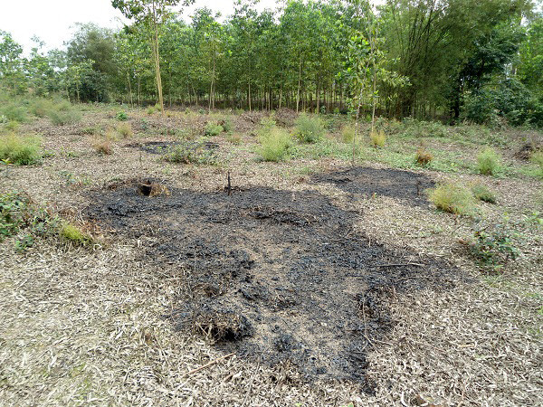 Hiện trường nơi Nguyễn Ngọc Thị tự thiêu