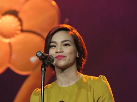 Đàm Vĩnh Hưng, Hồ Ngọc Hà nhận Mai Vàng