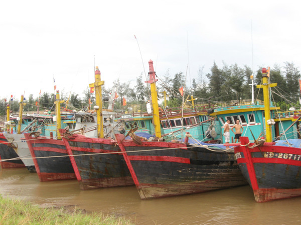 Chi 180 tỷ để ra khơi là trúng mùa