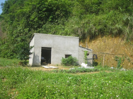 Bi kịch máy bay bà già phải lòng 'phi công trẻ'