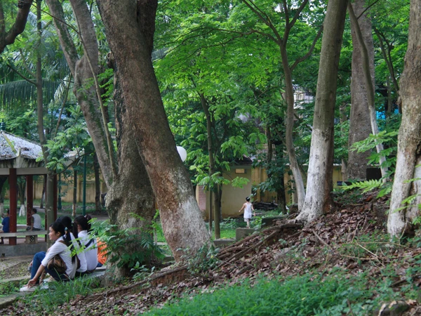 Phấp phỏng vì sưa