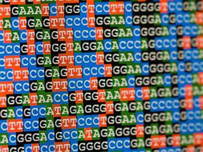 Tại sao con người thông minh khác nhau?