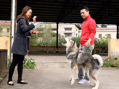 Thiếu gia chơi chó 'khủng'
