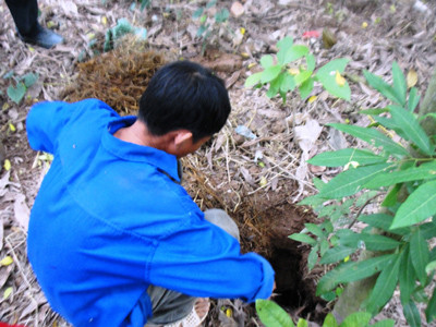 Hố địa ngục trong vườn người dân xã Phong Vân