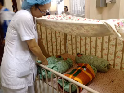 Tiếp tục tiêm vắc-xin viêm gan B cho trẻ trong 24 giờ đầu