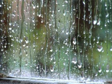 Hà Nội mưa, trời rét