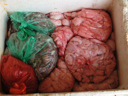 Chở một tấn nội tạng bẩn về Bắc Ninh tiêu thụ