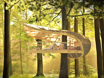 Khu nghỉ dưỡng 5 sao... trên cây