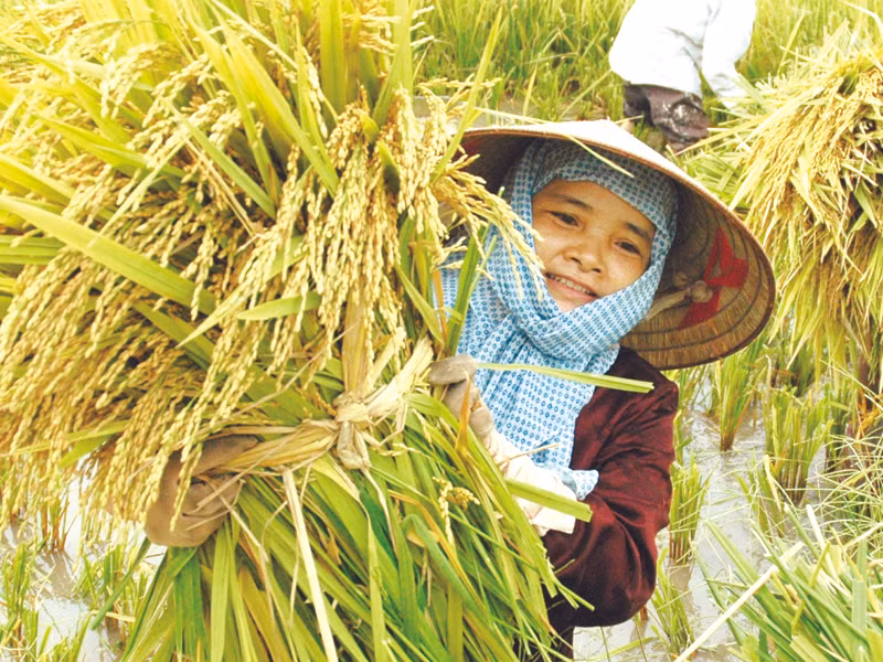 Cách mạng trong sản xuất nông nghiệp