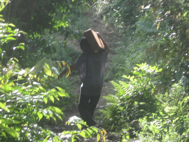 Tận thấy lâm tặc 'khoắng' gỗ quý trong rừng đặc dụng