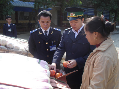 Gần 400 tấn gừng Trung Quốc nhập qua cửa khẩu Tân Thanh