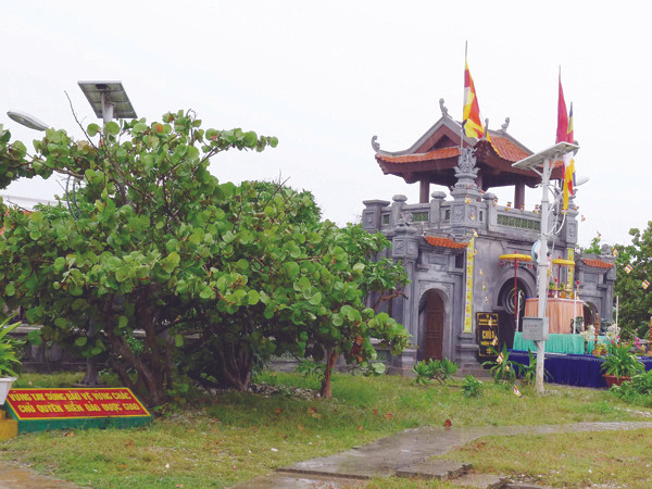 Trường Sa vươn bóng Bồ Đề