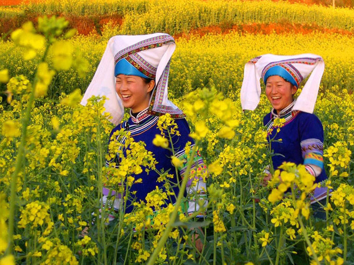 Giới trẻ Trung Quốc mê hoa cải