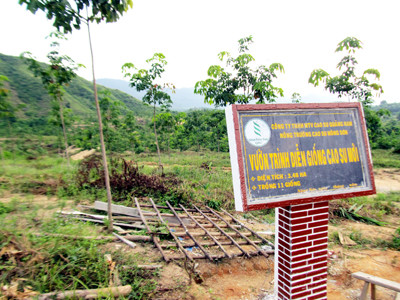 'Lá bùa' chủ trương