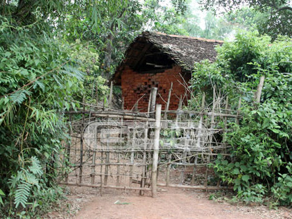 Em trai Lê Văn Luyện được bảo vệ nghiêm ngặt