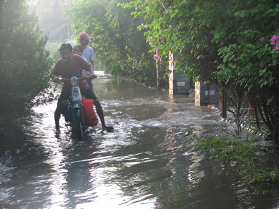 TP Hồ Chí Minh, triều cường vượt báo động hai