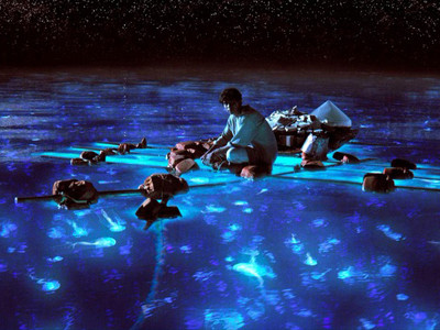 'Cuộc đời của Pi' và Lý An của 3D