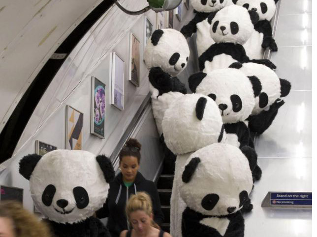 100 chú gấu trúc đi dạo giữa thành London