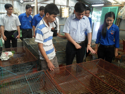 Bí thư Trung ương Đoàn thăm thanh niên làm ăn giỏi