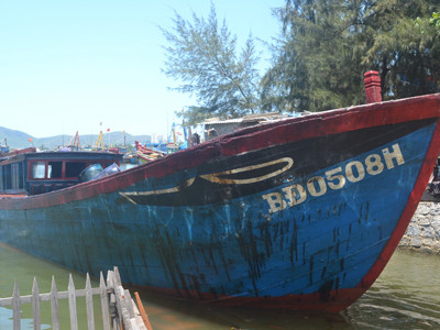 Đã thống kê được thiệt hại cá chết do dầu tràn