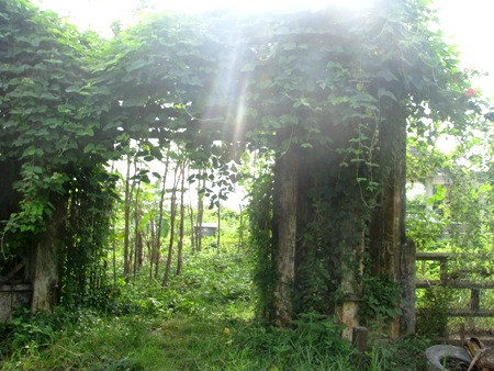 Khu mộ của gia đình 'Công tử Bạc Liêu'