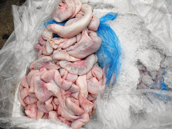 Xe khách chở 20 thùng lòng lợn 'thối' không rõ nguồn gốc