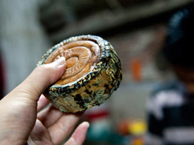 Bánh trung thu thiu mốc quá hạn sản xuất 2-3 năm vẫn được thu mua . Ảnh: SINA.COM