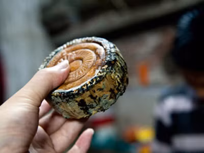 Bánh trung thu thiu mốc quá hạn sản xuất 2-3 năm vẫn được thu mua . Ảnh: SINA.COM