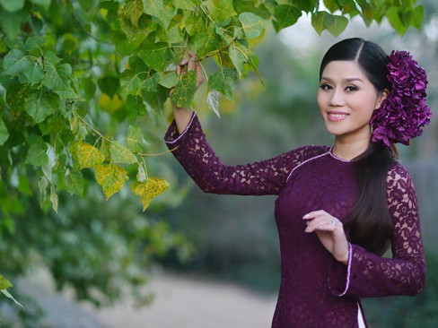 Nao lòng sắc tím Huế làm ấm mùa đông xứ Bắc