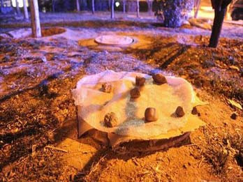 Sống dưới giếng 20 năm dành tiền nuôi con ăn học