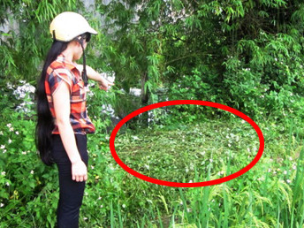 Hiện trường nơi phát hiện xác chết bà Miên