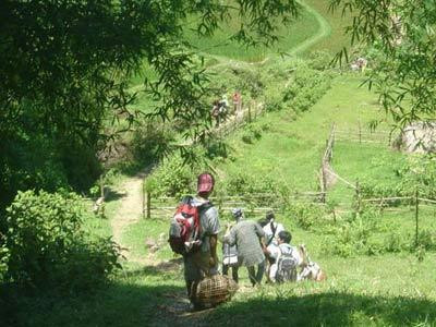 Những bạn trẻ muốn rời Hà Nội