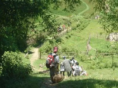 Những bạn trẻ muốn rời Hà Nội