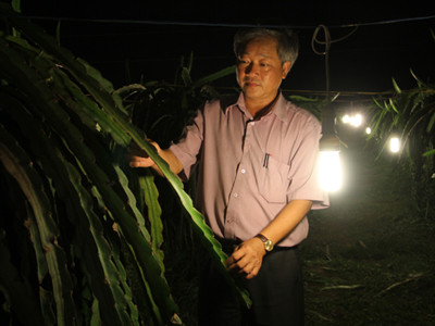 Đột phá tiết kiệm điện của ông chủ trang trại thanh long