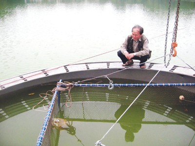 Chưa thể khẳng định có hai 'cụ' rùa