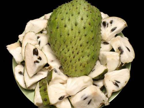 Mãng cầu gai ngừa bệnh ung thư, tim mạch