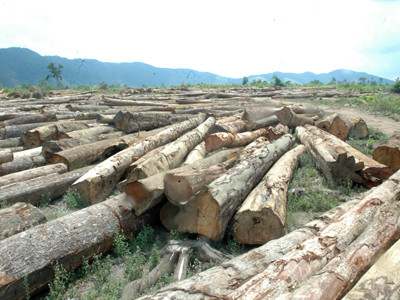 Phá rừng làm thủy điện, chây ỳ nộp phí