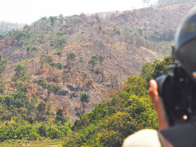 Kiểm điểm cán bộ để mất 70 ha rừng