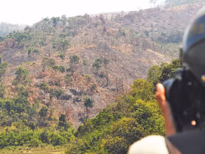 Kiểm điểm cán bộ để mất 70 ha rừng