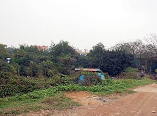 Doanh nghiệp Trung Quốc 'âm thầm' mua 100 ha đất tại Bình Thuận