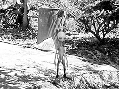 “Bức ảnh lạ” gây xôn xao