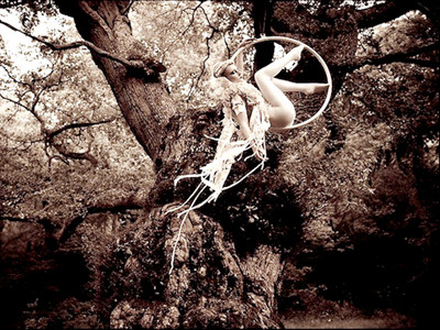 Khám phá sự thật sau những bức ảnh thần tiên -P2