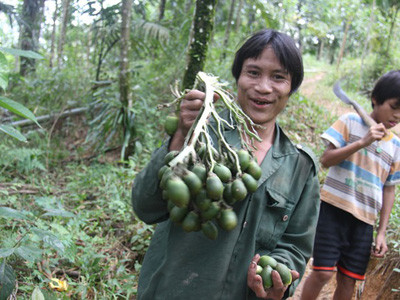 'Người rừng' Hồ Văn Lang muốn cưới vợ