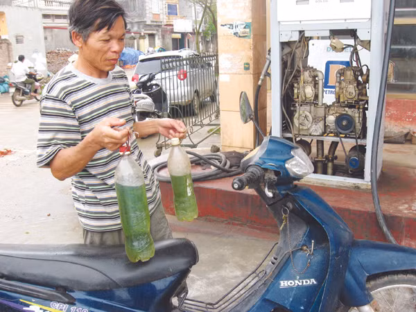 Giá xăng dầu tác động từng ngày lên đời sống của người dân Ảnh: PT