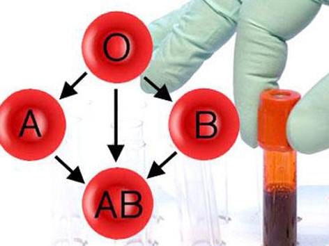 Nhóm máu O vẫn khan hiếm gay gắt