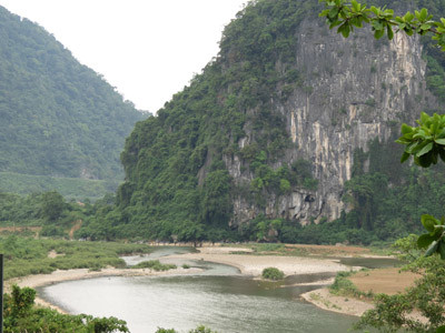 Lâm tặc đốn hạ hai cây sưa trăm tỷ ở Trường Sơn